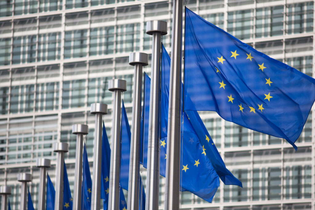 Image for EU Directive Deadline Looms: Suggestions to Minimize Litigation Risk