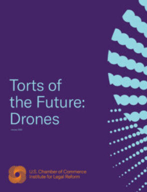 Purple flyer Torts of the Future Drones