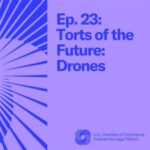Purple cover Episode 23 Torts of the Future Drones