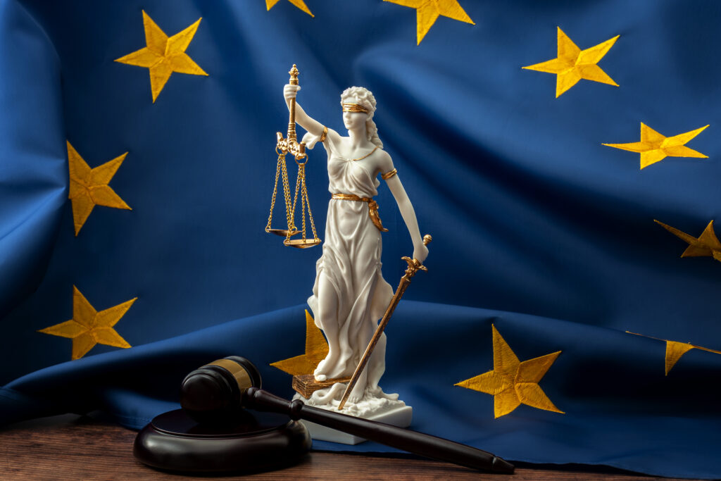 Image for EU Directive Deadline Looms: Suggestions to Minimize Litigation Risk